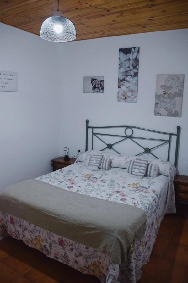 Loli Apartment Berga